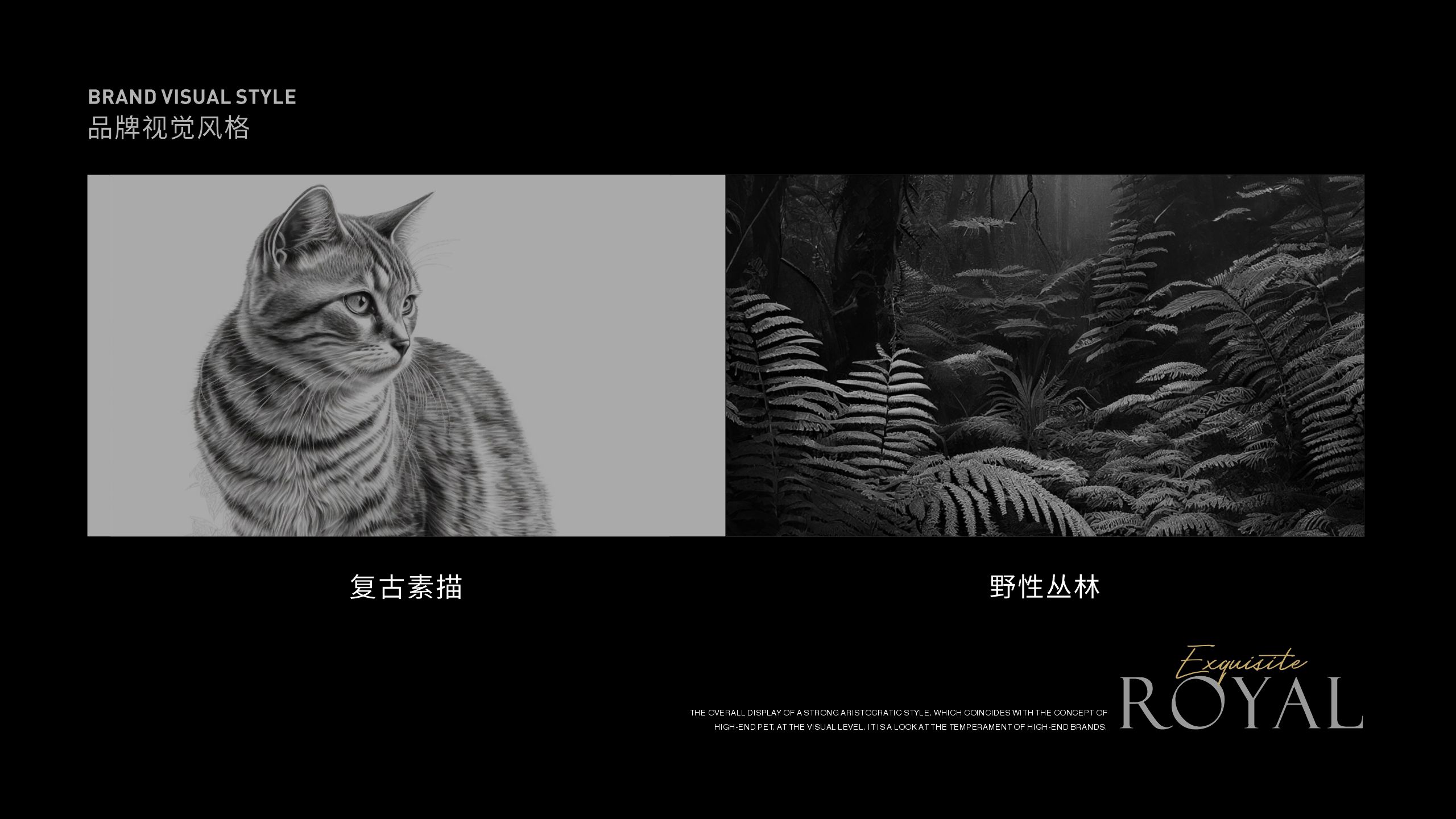 猫粮品牌策划设计案例-宠物食品包装设计-品牌营销咨询公司【鲸奇爆品策划】