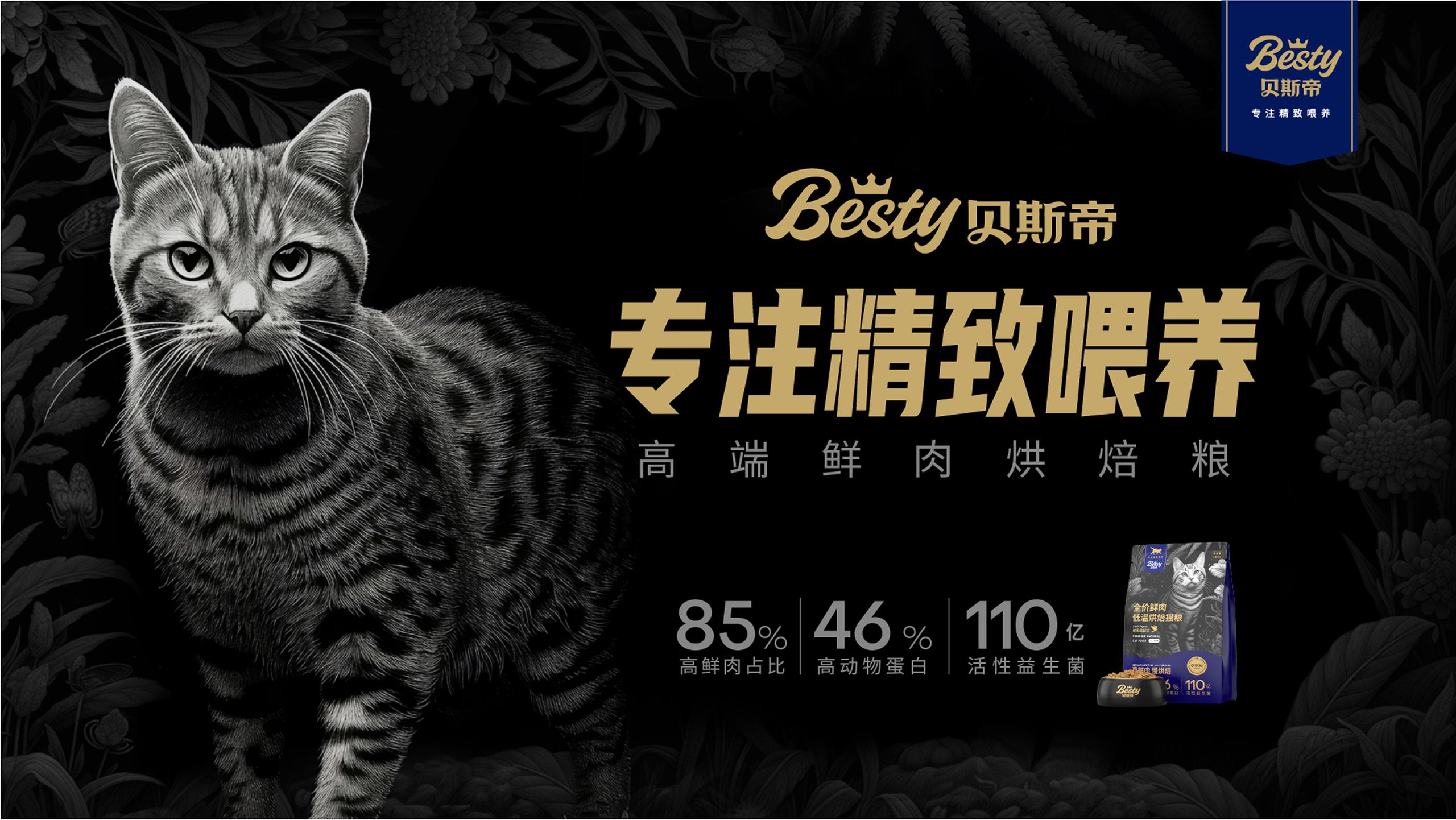 猫粮品牌策划设计案例-宠物食品包装设计-品牌营销咨询公司【鲸奇爆品策划】