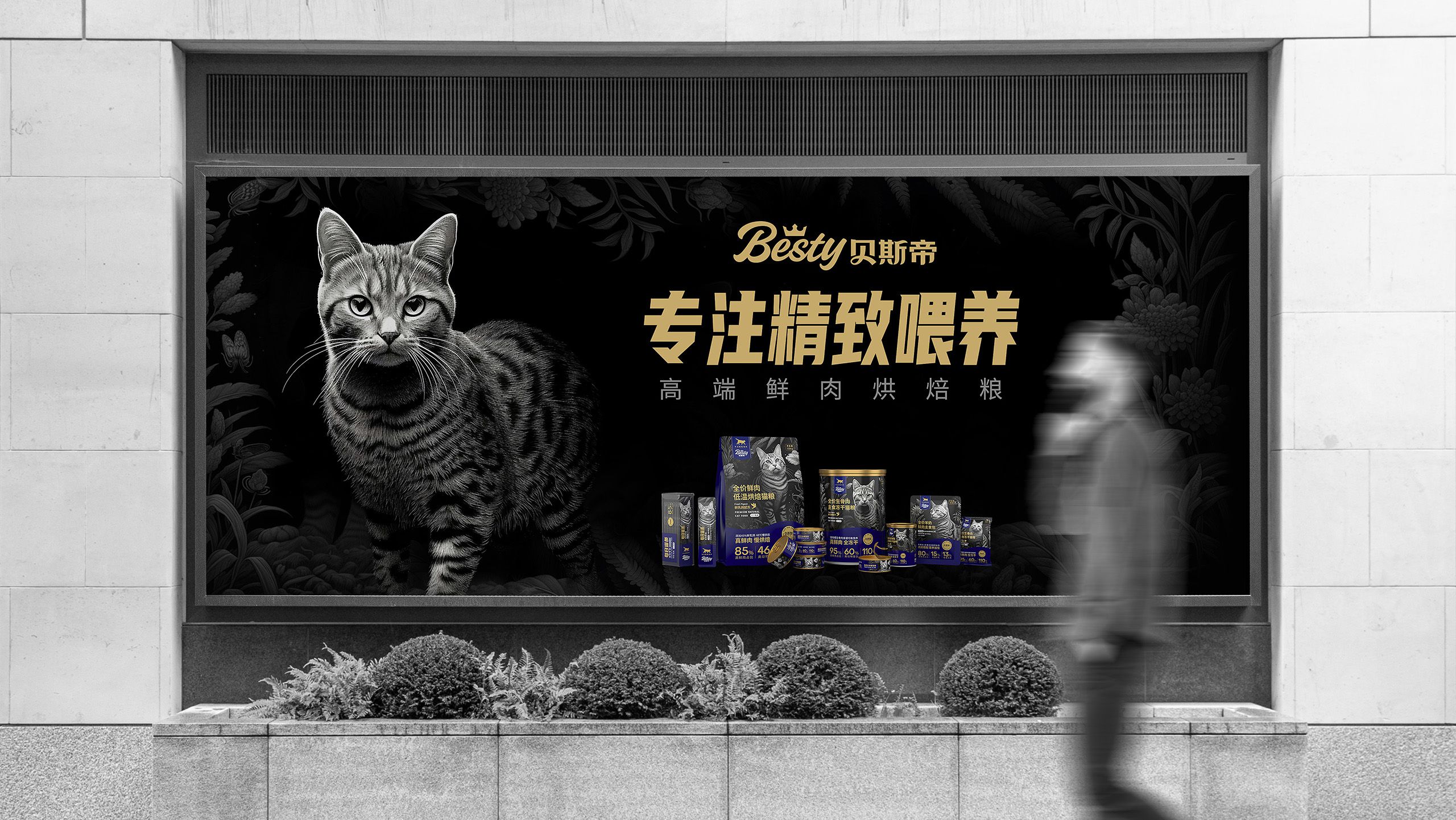 猫粮品牌策划设计案例-宠物食品包装设计-品牌营销咨询公司【鲸奇爆品策划】