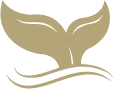 鲸奇logo04